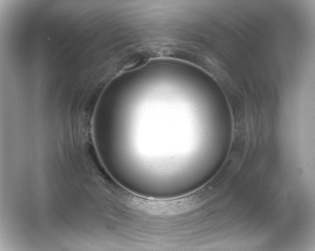X0000066080030200603101152