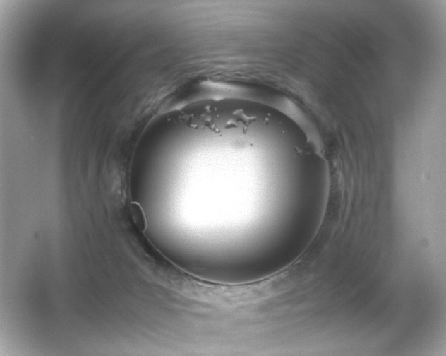 X0000066080031200603101152