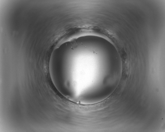 X0000066080039200603101151