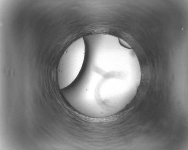 X0000066080046200603101151