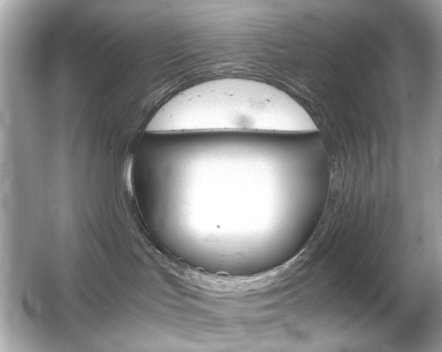 X0000066080047200603101151