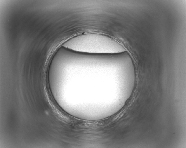 X0000066080049200603101151