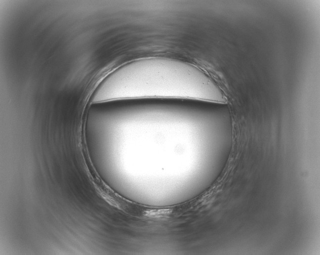 X0000066080051200603101151