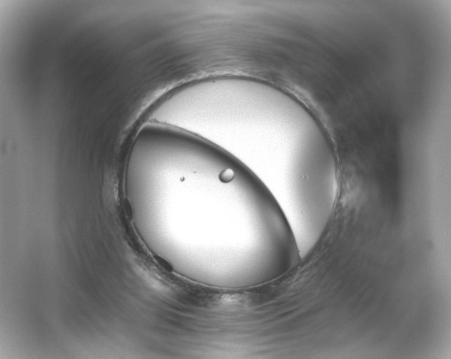 X0000066080060200603101151
