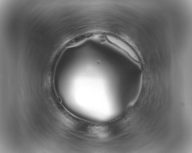 X0000066080063200603101151
