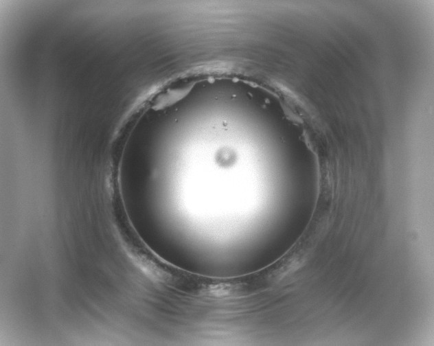 X0000066080064200603101151