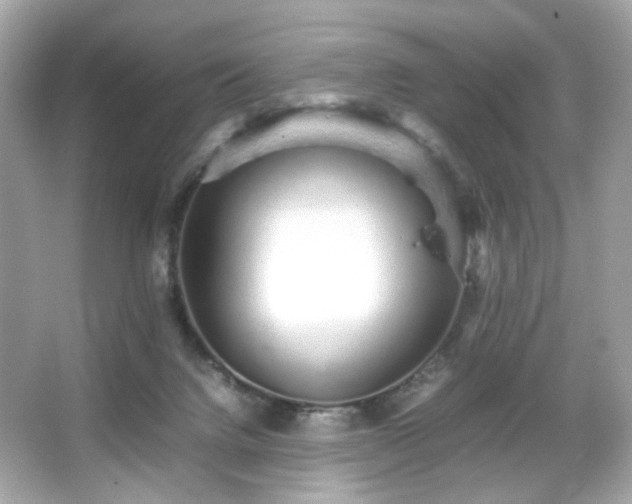 X0000066080072200603101151