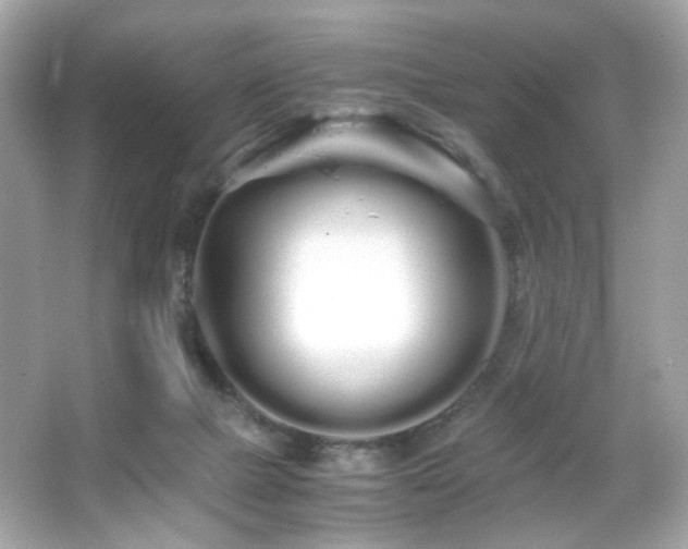 X0000066080073200603101151