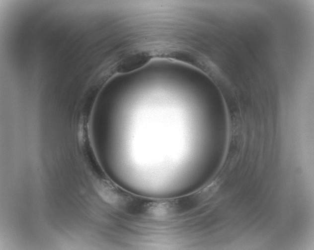 X0000066080074200603101151
