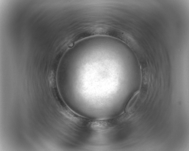 X0000066080077200603101151