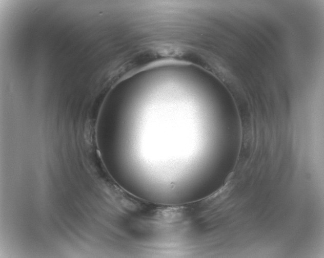 X0000066080078200603101151
