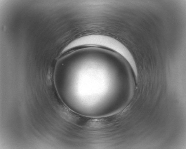 X0000066080082200603101151