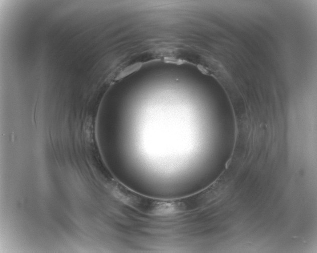 X0000066080083200603101151