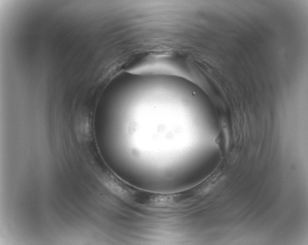X0000066080084200603101151