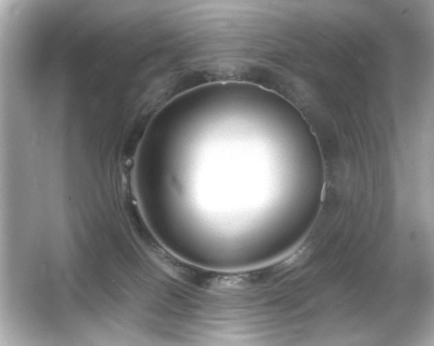 X0000066080086200603101151