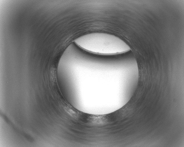 X0000066080093200603101151