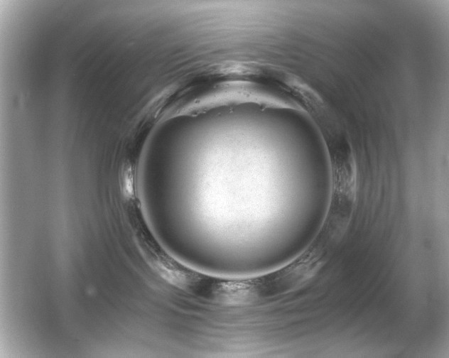 X0000066080095200603101151