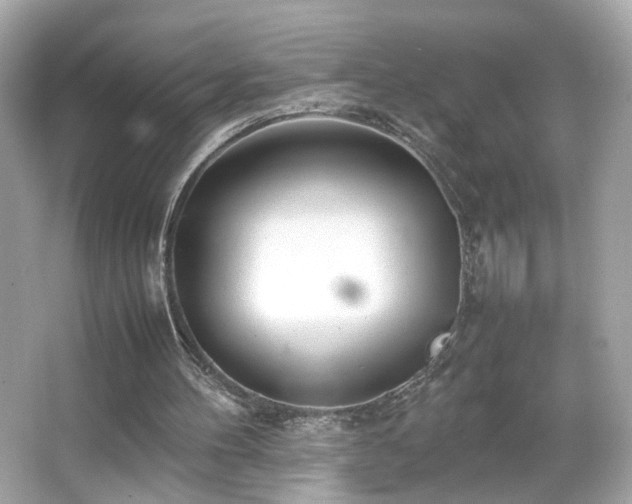 X0000066080100200603101150