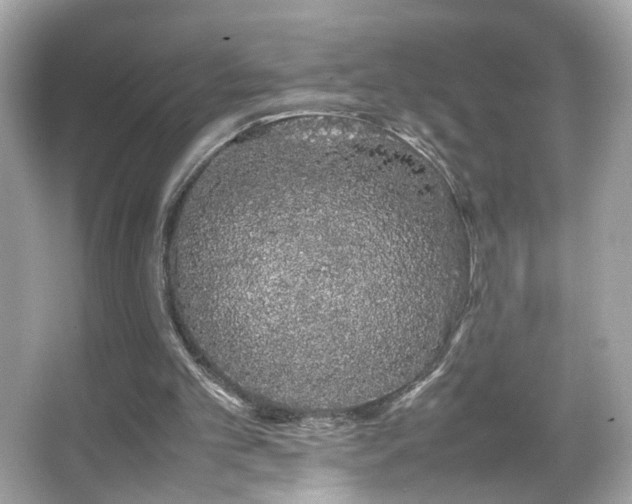 X0000066080101200603101150