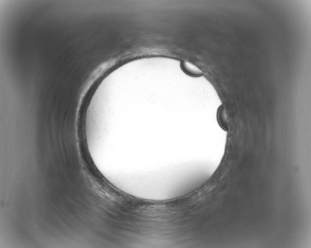 X0000066080104200603101150