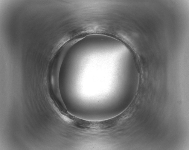 X0000066080105200603101150