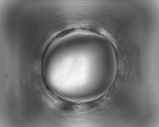 X0000066080107200603101150