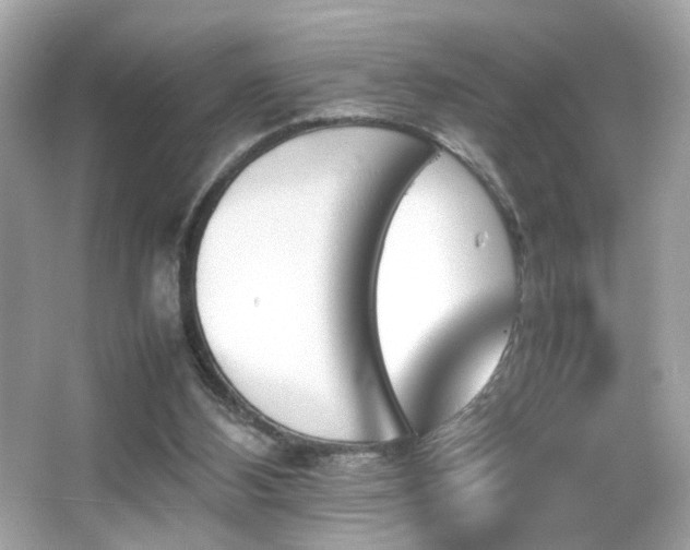 X0000066080108200603101150