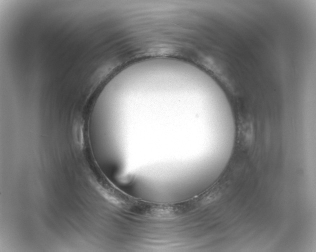 X0000066080110200603101150