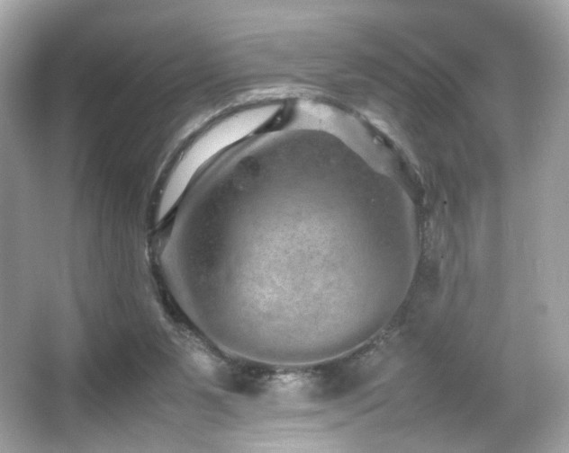 X0000066080111200603101150