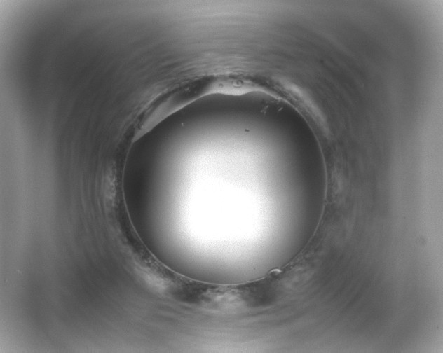 X0000066080113200603101150