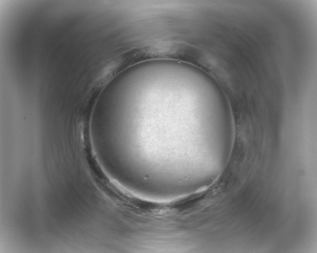 X0000066080115200603101150