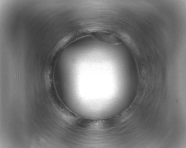 X0000066080116200603101150