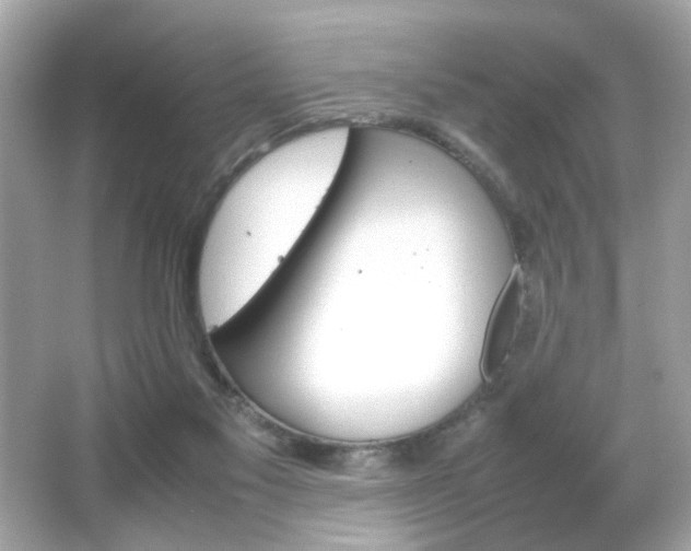 X0000066080117200603101150
