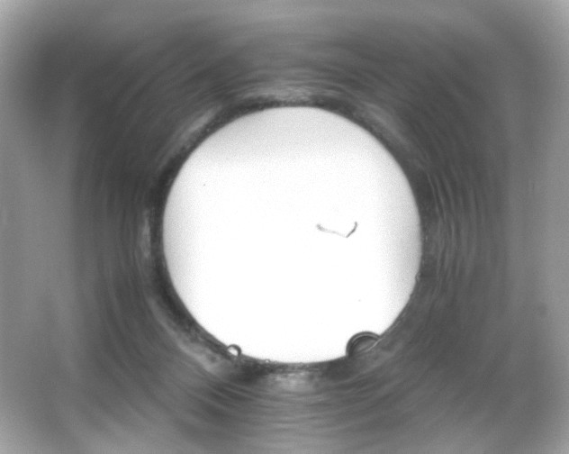X0000066080120200603101150
