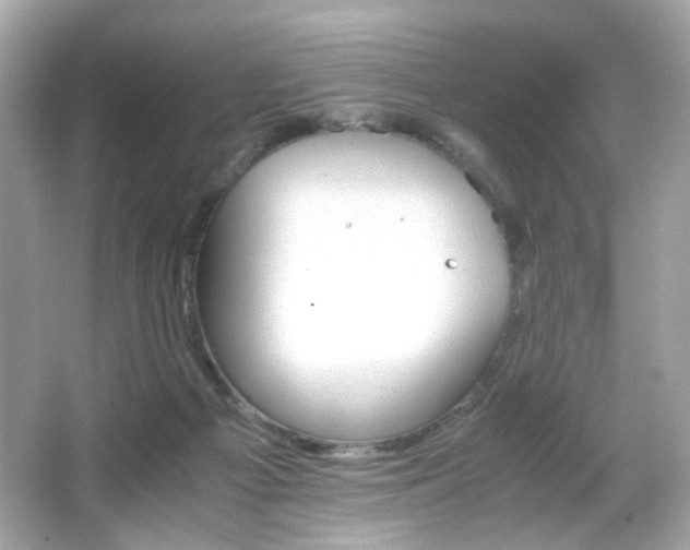 X0000066080121200603101150