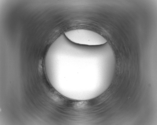 X0000066080122200603101150