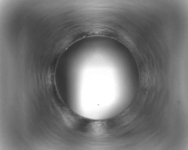 X0000066080126200603101150