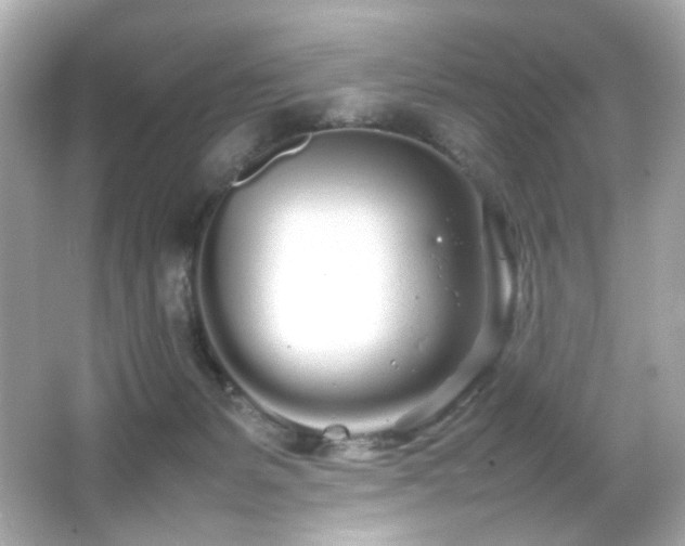 X0000066080127200603101150