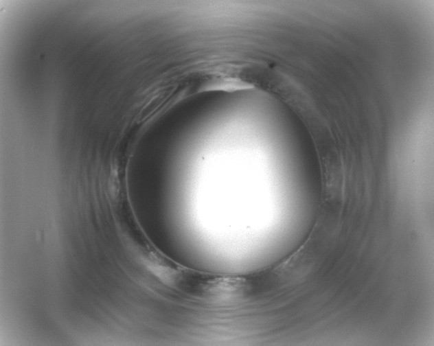 X0000066080128200603101150