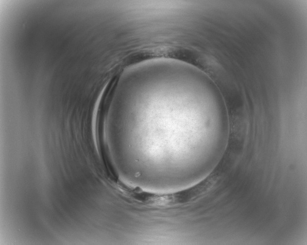 X0000066080131200603101150
