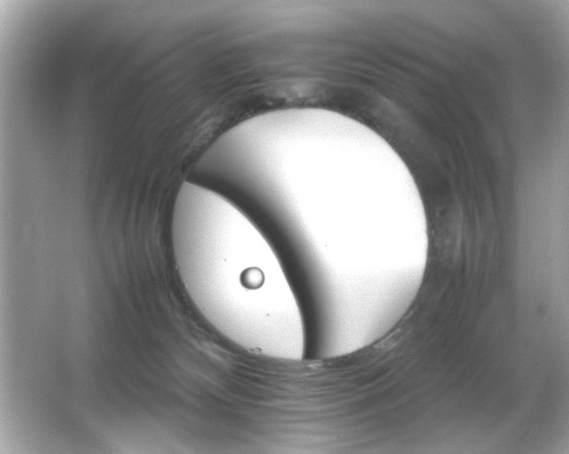 X0000066080132200603101150