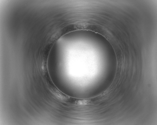 X0000066080134200603101150