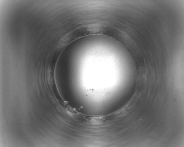 X0000066080136200603101150
