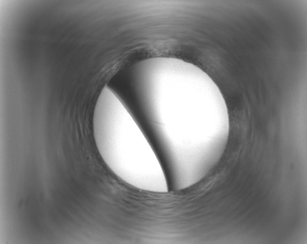 X0000066080139200603101150