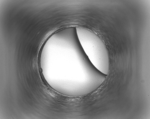 X0000066080147200603101149