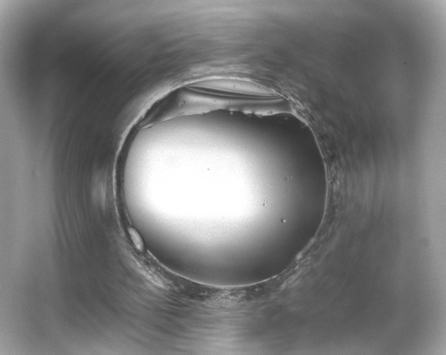 X0000066080148200603101149