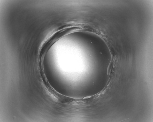 X0000066080150200603101149