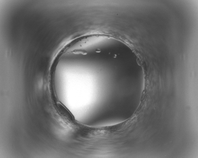 X0000066080152200603101149