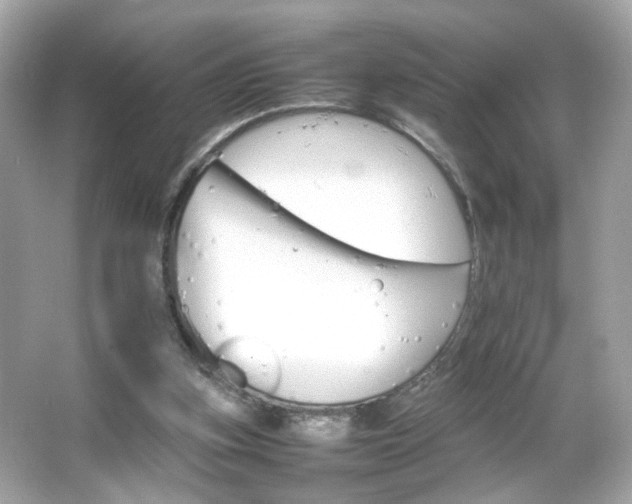 X0000066080155200603101149