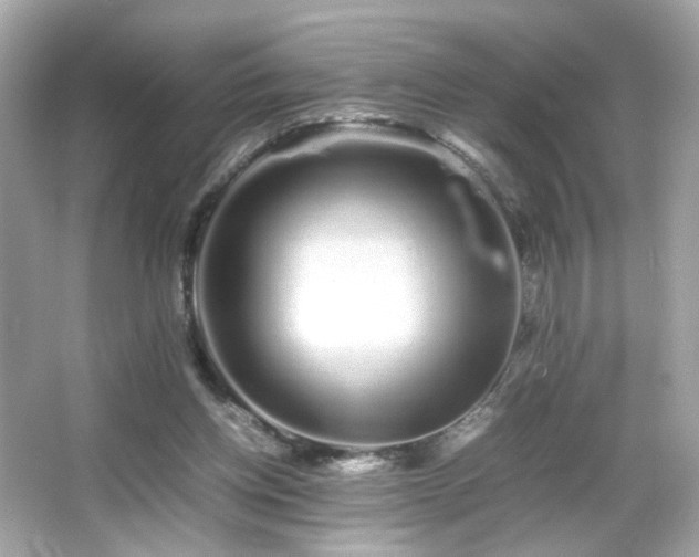X0000066080158200603101149